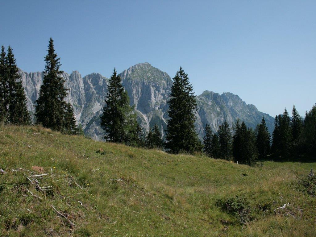 Апартаменти Waldhaus Занкт-Мартін-ам-Тенненґебірґе Екстер'єр фото